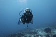 Product
PADI Referral Course